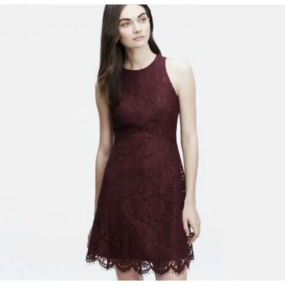 Ann Taylor plum, purple lace fit and flare party cocktail dress 10 P